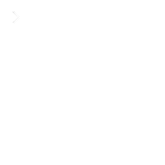 Potential 募集要項（新卒）